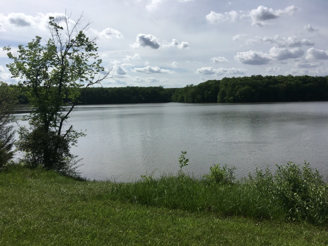 Lake Bloomington-2